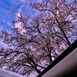 دانلود آهنگ لری جونم بی ایمونم بی ره جونم ره